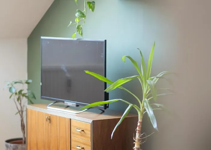 شقة Bright Secret Spot Griesplatz